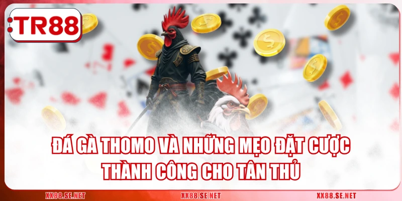 Đá Gà Thomo